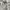Eider Y2K Sportswear Windbreaker Pria white photo 7