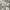 Eider Y2K Sportswear Windbreaker Pria white photo 5