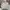 Eider Y2K Sportswear Windbreaker Pria white photo 2