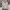 Eider Y2K Sportswear Windbreaker Pria white photo 3