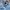 Zara Biker T-shirt Pria Blue