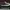 Converse Streetwear Sneakers Pria white black photo 2