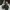 Converse Streetwear Sneakers Pria white black photo 4