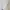 Hanes Casual T-shirt Pria white photo 7