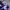 Vintage Parka Pria purple white photo 2