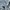 H&M Streetwear Casual Casual pants Pria gray photo 2