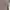 Luxury Minimalist Cardigan Wanita silver gray photo 5