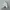 PALACE Streetwear Hat Pria white photo 1