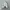 PALACE Streetwear Hat Pria White