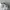 PALACE Streetwear Hat Pria White