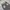 Streetwear Y2K Jeans Pria white gray photo 7