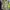 Gorpcore Sportswear Track jacket Pria tan black photo 1