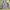 The North Face Gorpcore Windbreaker Wanita purple photo 1
