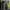 Helly Hansen Sportswear Track jacket Pria black photo 1