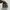 Salomon Casual Sneakers Pria tan photo 4