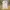 Journal Standard Streetwear Casual Casual pants Pria cream photo 1