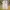 Journal Standard Streetwear Casual Casual Pants Pria Cream