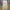 Journal Standard Streetwear Casual Casual Pants Pria Cream