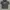 Minimalist Sweatshirt Pria gray photo 1
