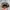 Realtree Streetwear Y2K Hat Pria multicolor photo 3