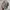 Realtree Streetwear Y2K Hat Pria multicolor photo 2