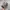 Realtree Streetwear Y2K Hat Pria multicolor photo 1