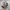 Realtree Streetwear Y2K Hat Pria Multicolor