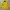 Lotto Sport Italia Streetwear Sportswear Jersey Pria Yellow Blue