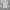 Adidas Streetwear Sportswear Jersey Pria white photo 1