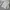 Adidas Streetwear Sportswear Jersey Pria white photo 2