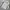 Adidas Streetwear Sportswear Jersey Pria White