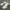 Adidas Streetwear Minimalist Sneakers Pria White Black