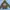 Disney Casual Hoody Pria brown photo 1