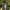 New Balance Streetwear Sportswear Sneakers Pria gray photo 4