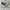 Polo Ralph Lauren Luxury Casual Formal shirt Pria cream photo 4