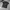 Supreme Streetwear T-shirt Pria black photo 1