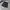 Stussy Streetwear Sportswear Short Pria black photo 6
