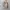 Dickies Vintage Casual Formal Shirt Pria Tan