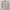 Dickies Vintage Casual Formal shirt Pria tan photo 1
