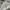 Adidas Casual Hat Pria white photo 3