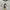 Disney Vintage Y2K T-shirt Pria white black photo 2