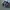 Nike Skater Sneakers Pria white blue photo 3