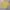 Uniqlo Luxury Casual Sweatshirt Pria yellow photo 1