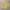 Uniqlo Luxury Casual Sweatshirt Pria Yellow