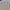 Dickies Streetwear Formal shirt Pria tan photo 2