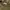 Pierre Cardin Luxury Casual Sweater Wanita green photo 3