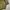 Pierre Cardin Luxury Casual Sweater Wanita green photo 4