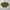 Pierre Cardin Luxury Casual Sweater Wanita green photo 5