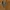 Arnold Palmer Luxury Casual Sweater Pria Orange