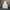 Adidas Streetwear Casual Track Jacket Pria White Red